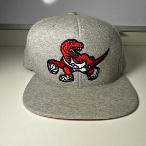 Men's Mitchell & Ness NBA Toronto Raptors Team Heather HWC Snapback Hat